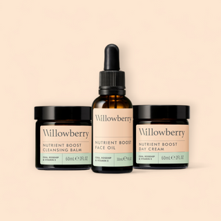 Willowberry Easy Skin Routine Bundle