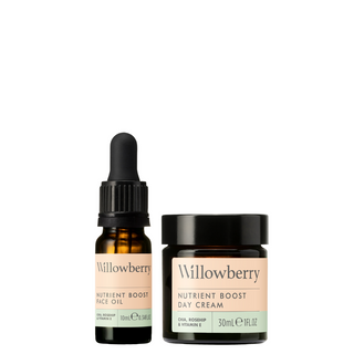 Willowberry Mini Hydrate & Glow Duo